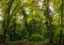 Pierre RICH - Pierre Rich