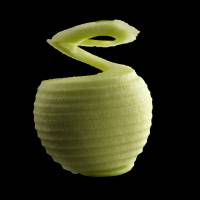 Frank BRUNET D'AUBIAC - FBAP SARL